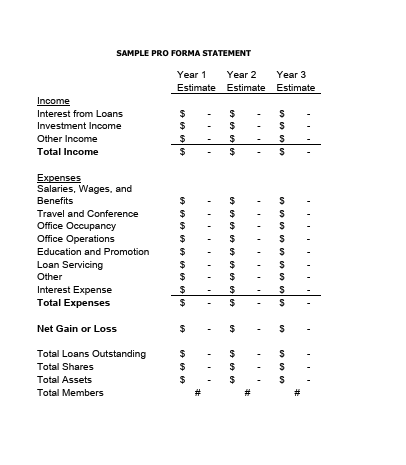 SAMPLE PRO FORMA STATEMENT